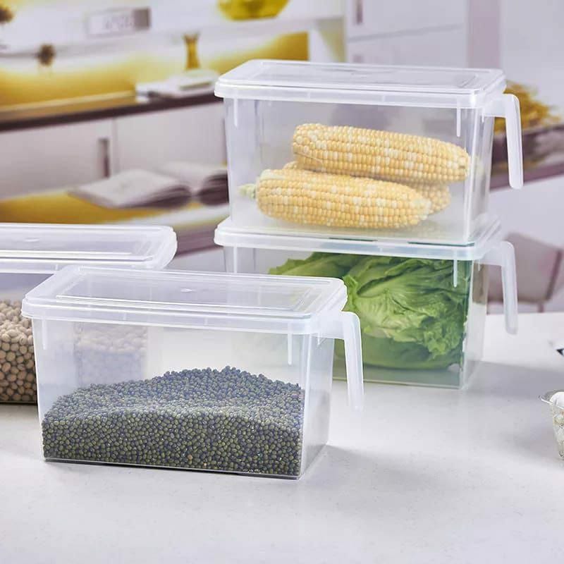 Food storage container with handle