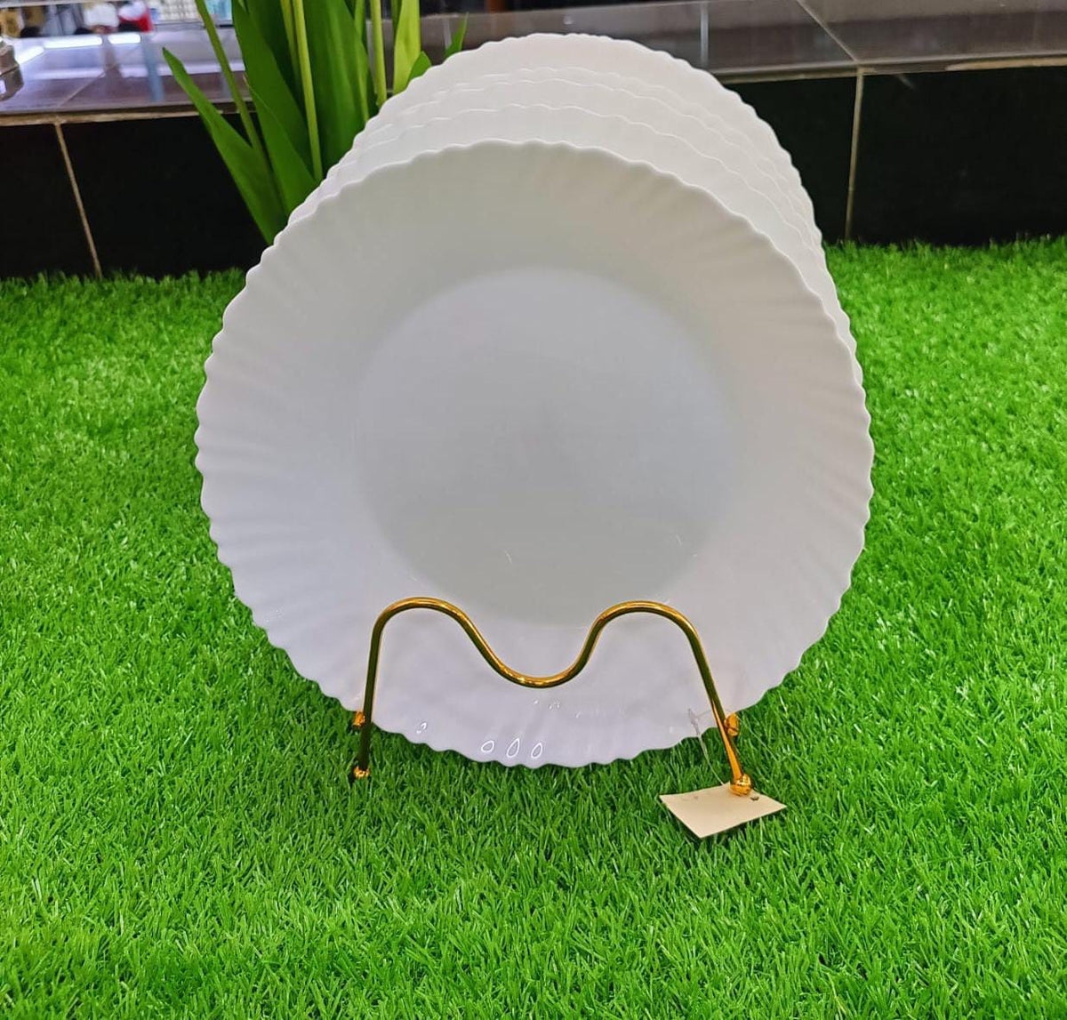 Dinner plates