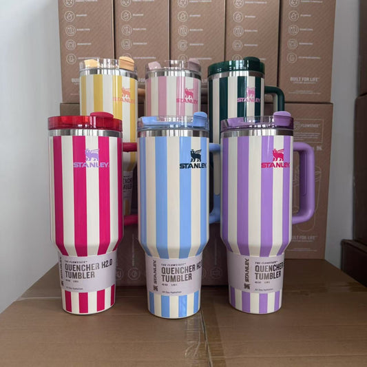 Summer oasis Stanley mugs