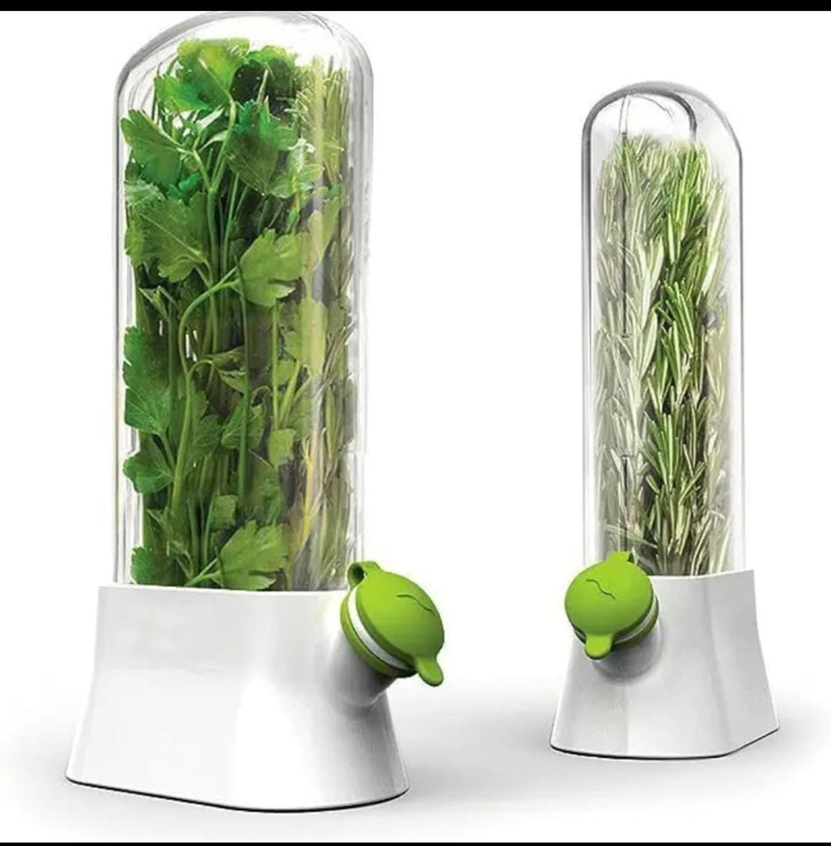 Garlic/Herbs preserving container
